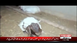 Woh Kya Hai With Sajjad Saleem - 4th April 2021